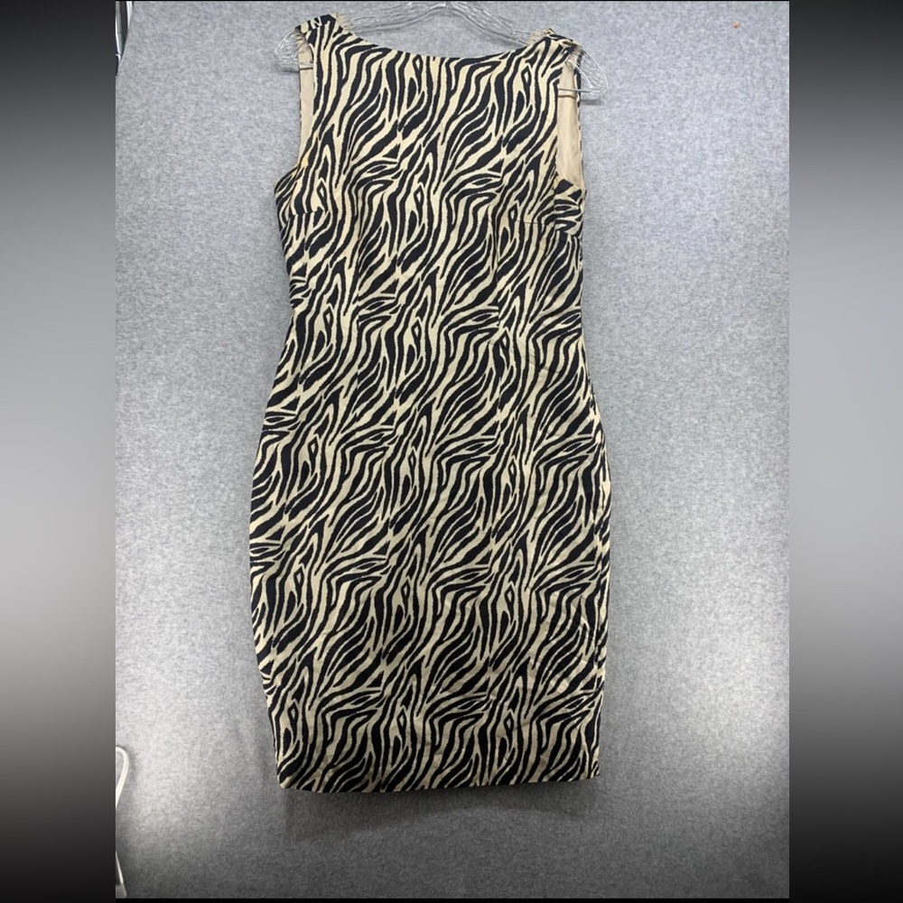 Spenser Jeremy Zebra Print Mini Dress
